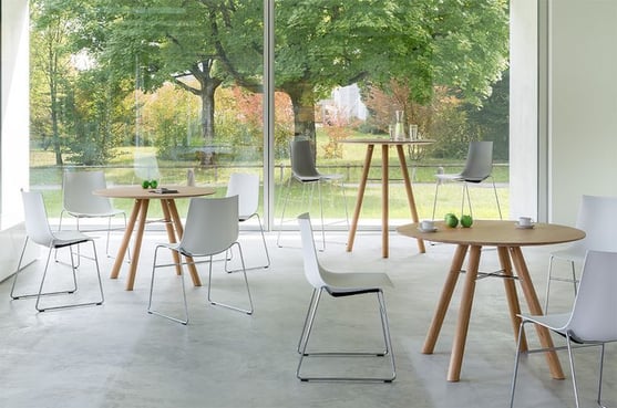 girsberger-menschen-zusammenbringen-Nava-Akio-Ei